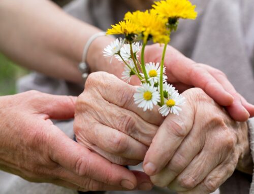 Home Care Agency – Care in Homes Services & Elderly Care